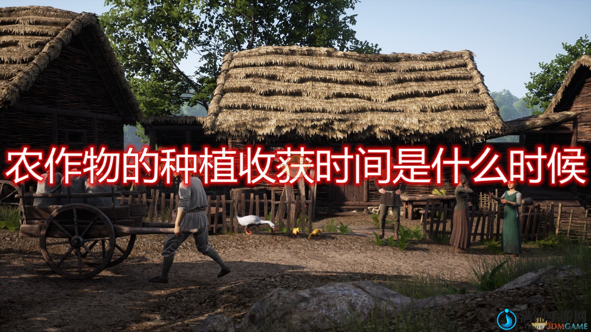 《中世纪王朝》全农作物种植收获时间介绍