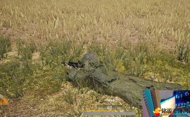 3dmgame